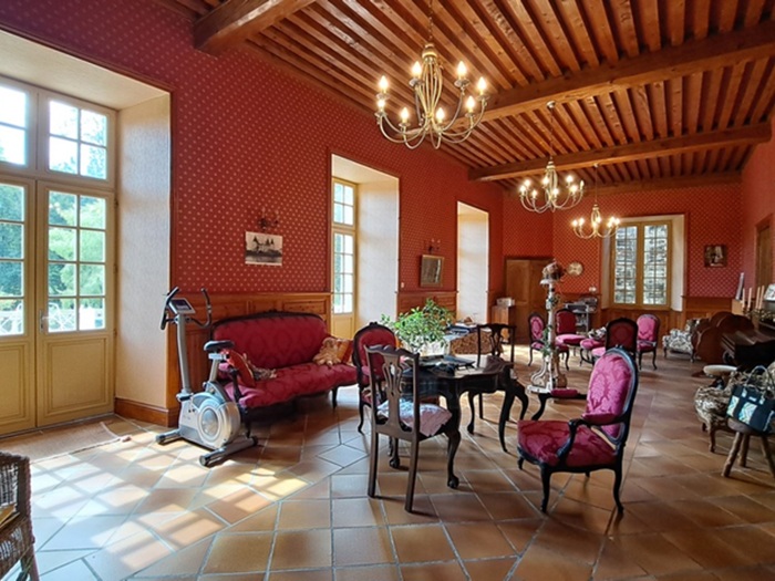 achat vente Château Renaissance a vendre  ISMH , dépendances, étang Courpière , à proximité, en lisière d'un petit village PUY DE DOME AUVERGNE