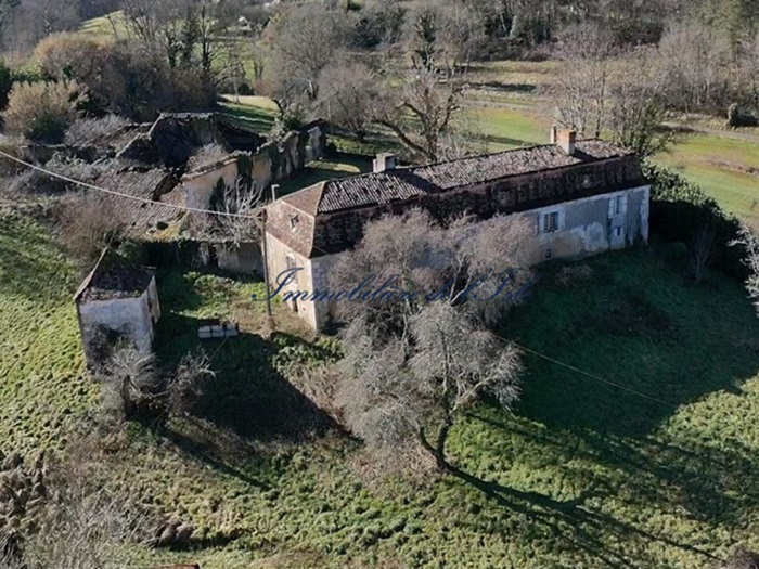 achat vente Ancienne Demeure Seigneuriale a vendre  à restaurer , dépendances Saint-Astier  à 10 mn, dans un environnement naturel et calme AQUITAINE DORDOGNE